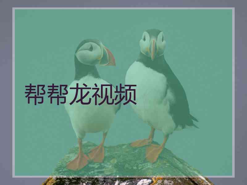 帮帮龙视频