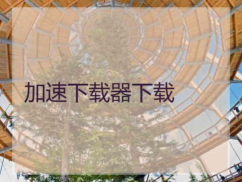 加速下载器下载