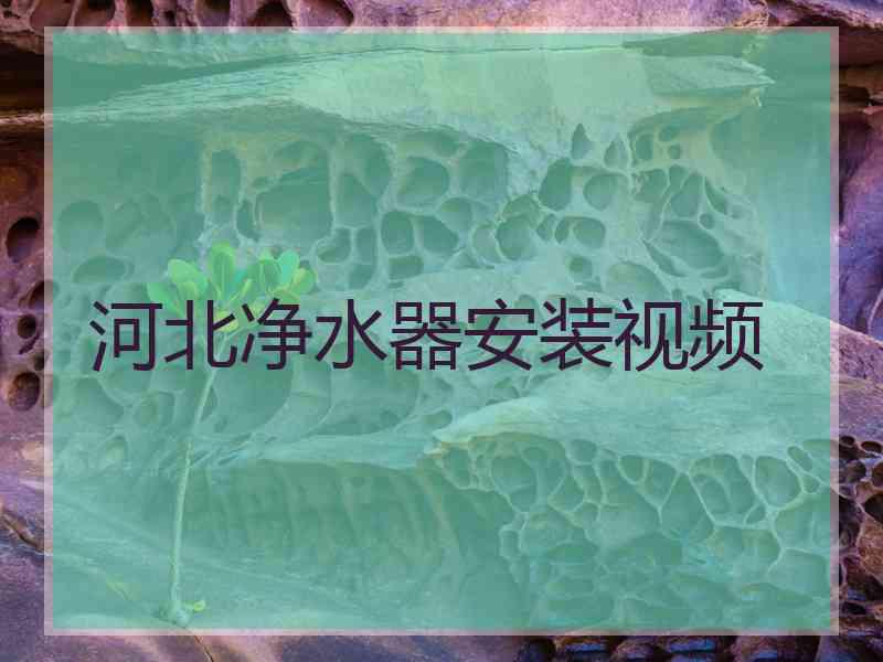 河北净水器安装视频