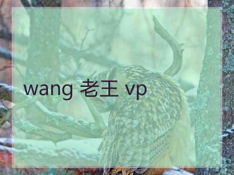 wang 老王 vp