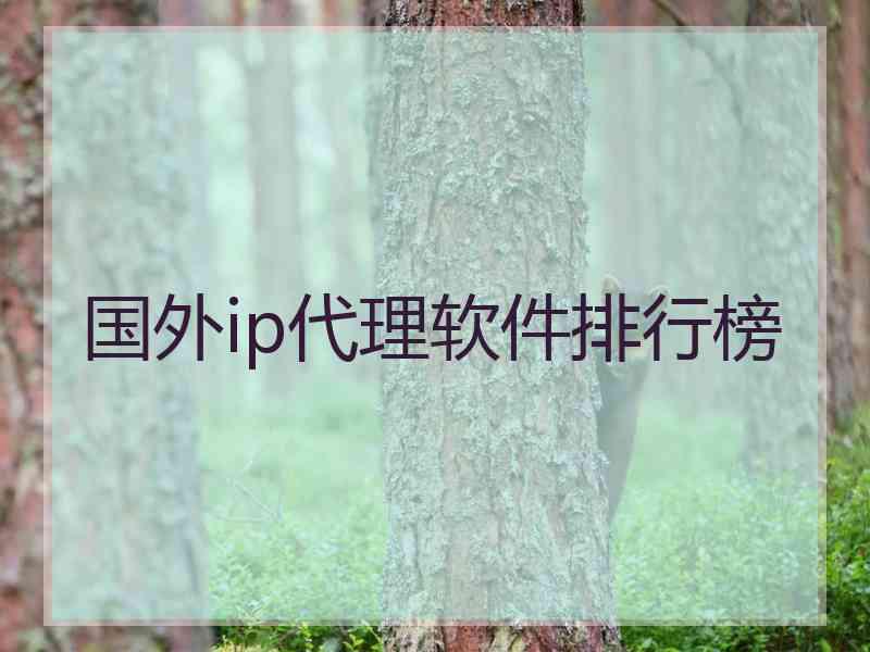 国外ip代理软件排行榜