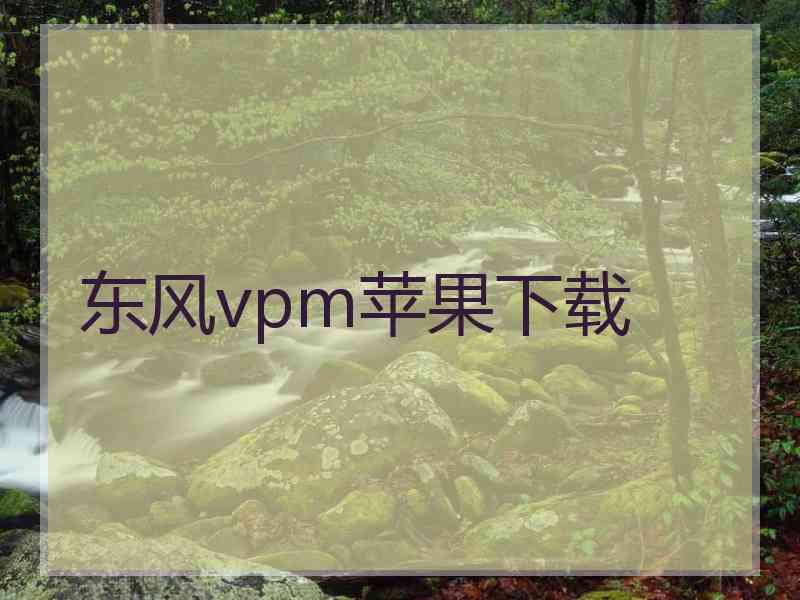 东风vpm苹果下载