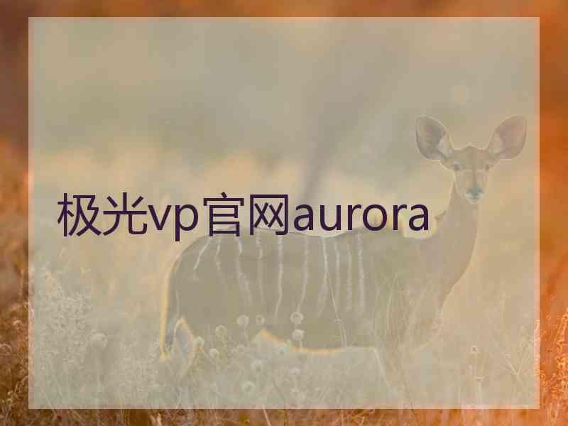 极光vp官网aurora