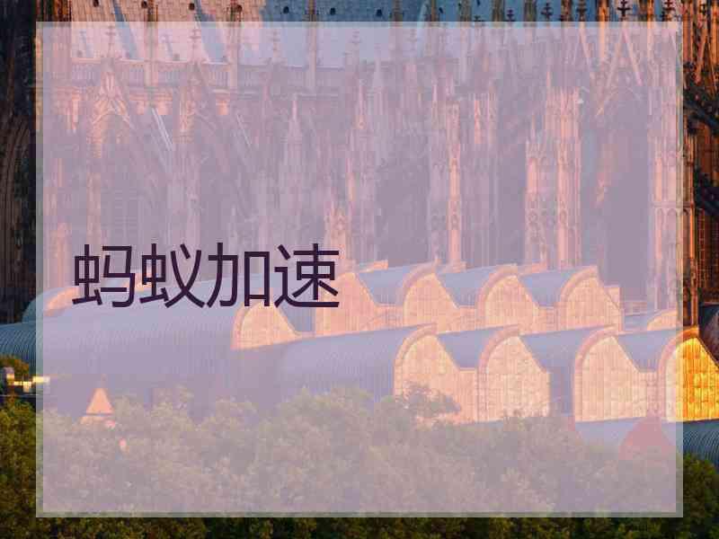 蚂蚁加速