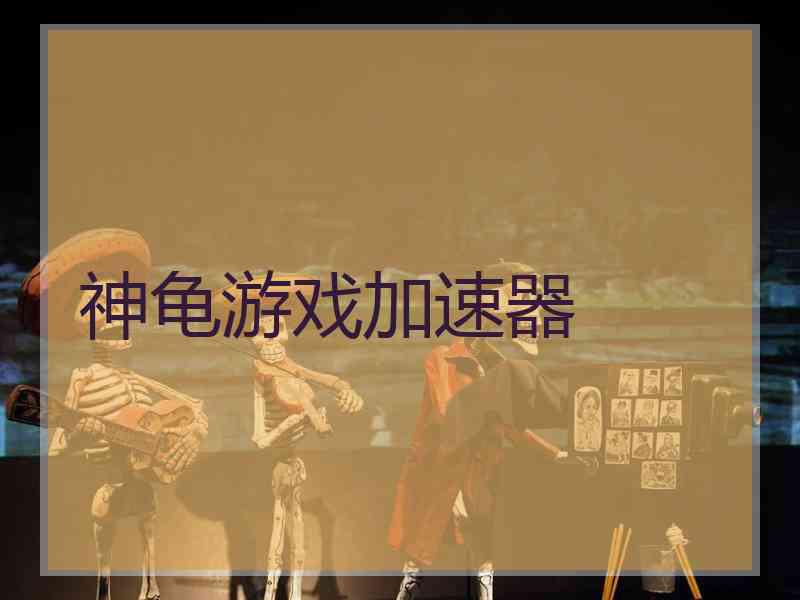 神龟游戏加速器