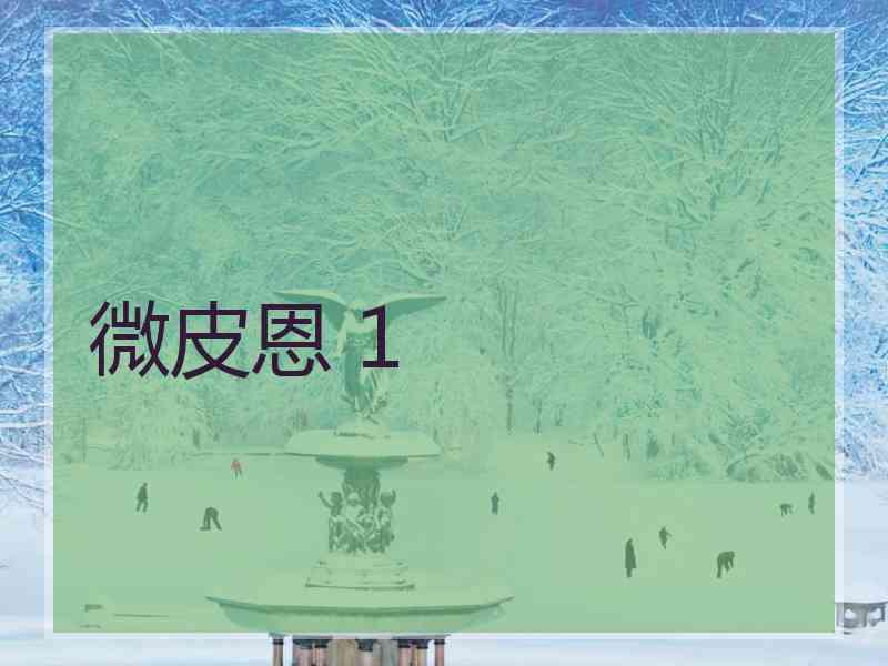 微皮恩 1