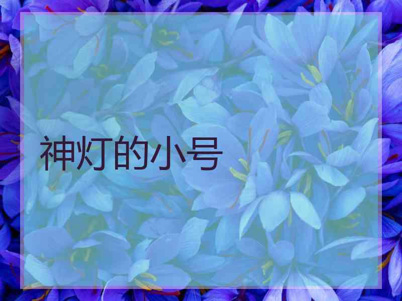 神灯的小号