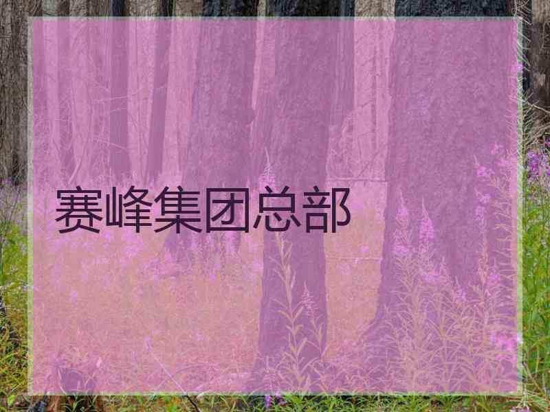 赛峰集团总部