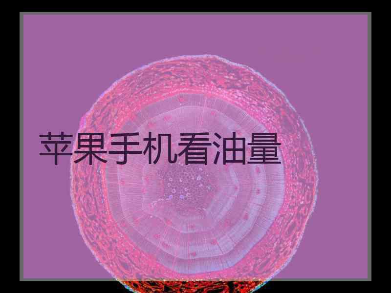 苹果手机看油量