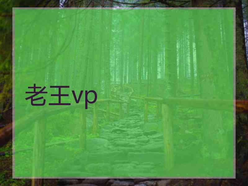 老王vp