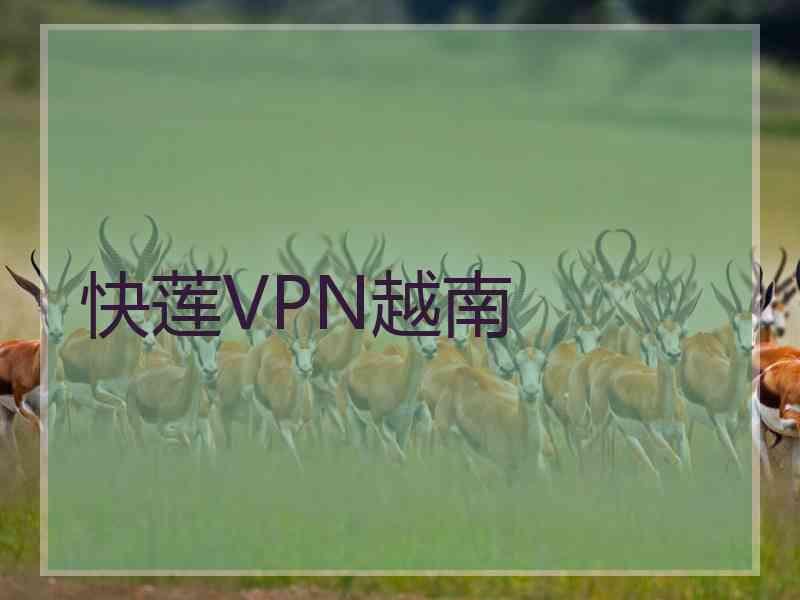 快莲VPN越南