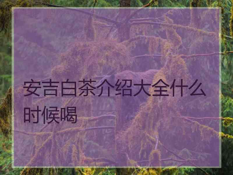 安吉白茶介绍大全什么时候喝