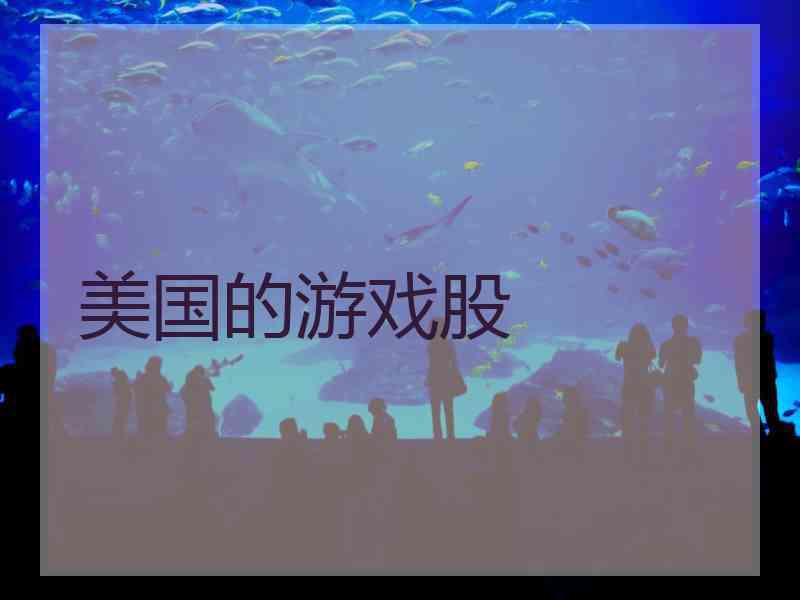 美国的游戏股