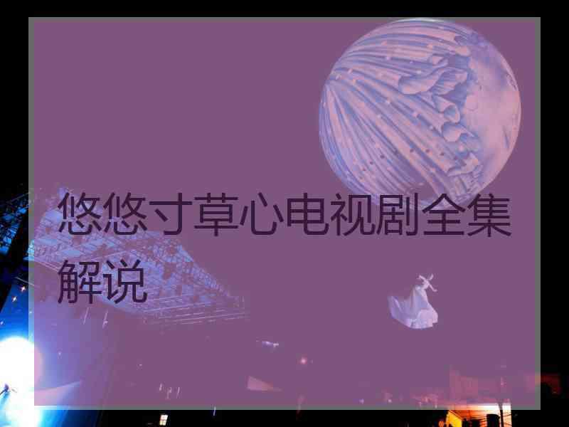 悠悠寸草心电视剧全集解说