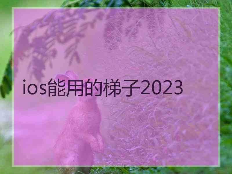 ios能用的梯子2023