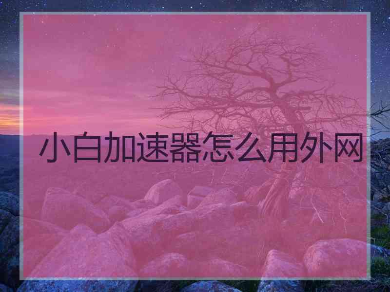 小白加速器怎么用外网