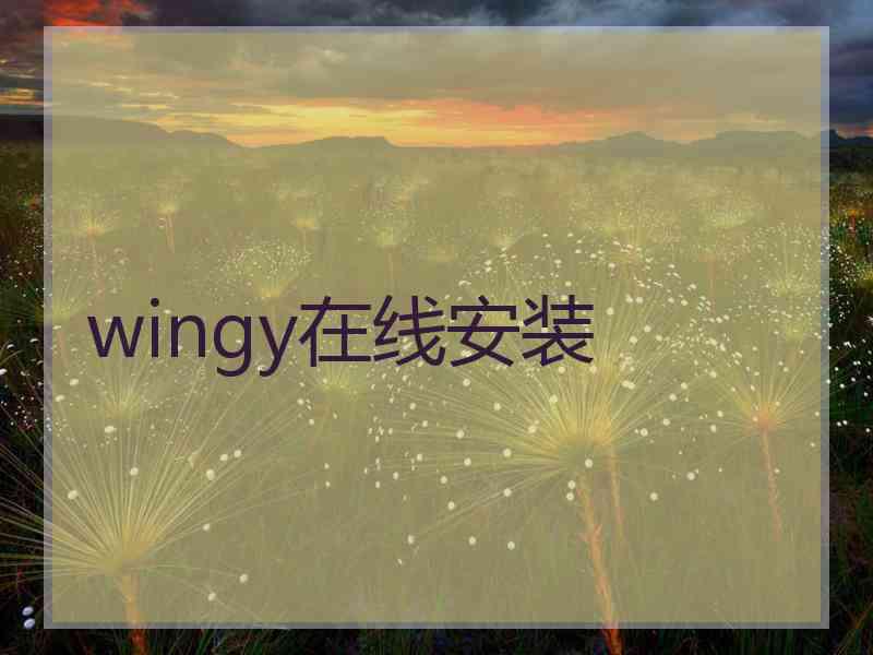 wingy在线安装