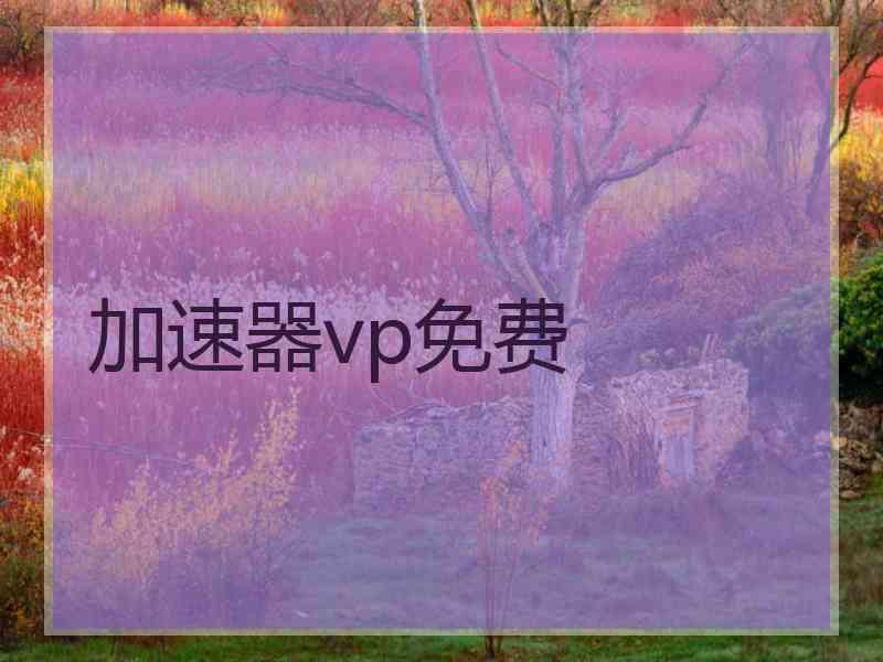 加速器vp免费
