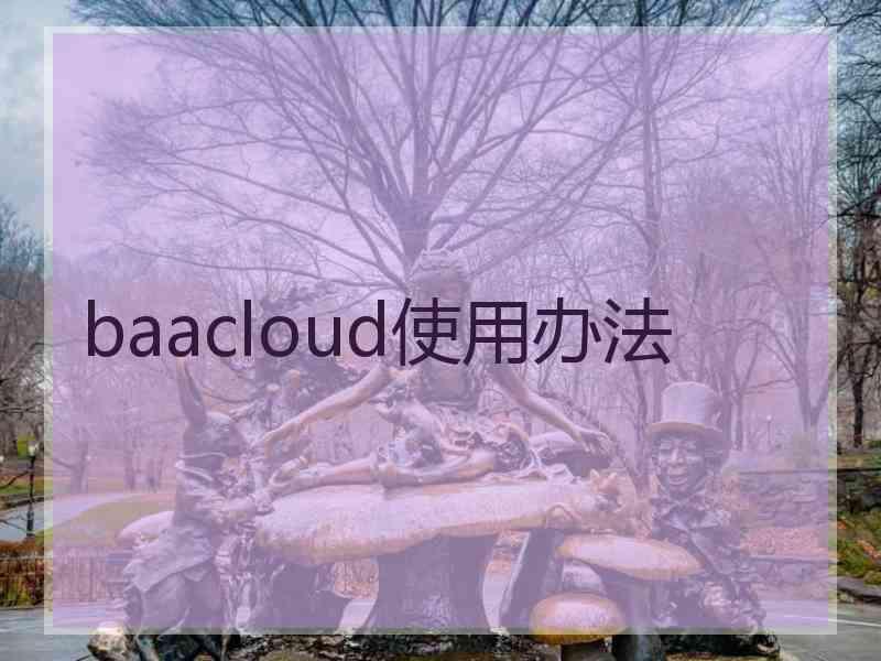 baacloud使用办法