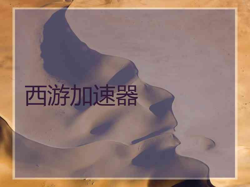 西游加速器