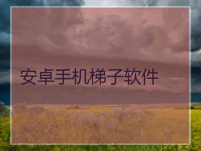 安卓手机梯子软件
