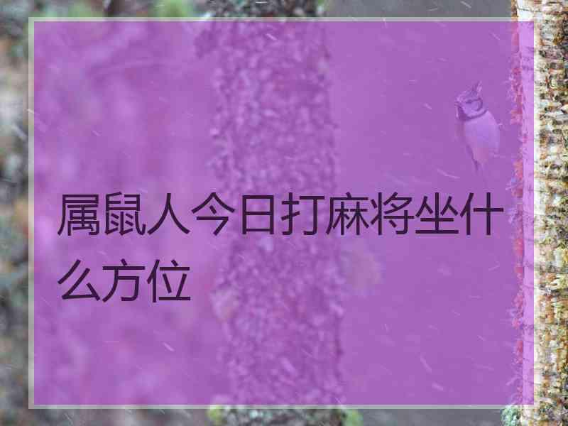 属鼠人今日打麻将坐什么方位