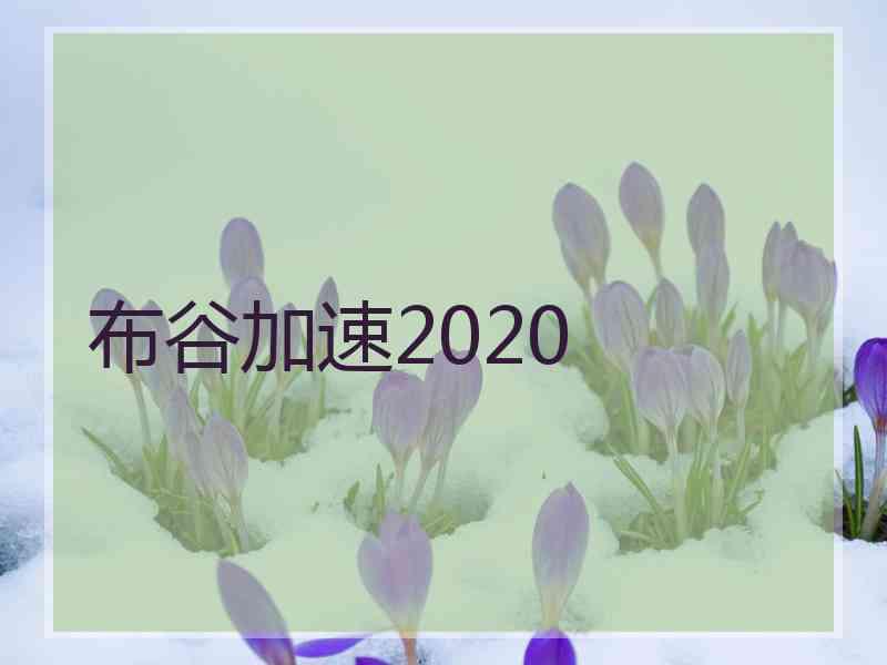 布谷加速2020