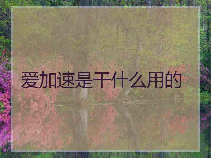爱加速是干什么用的