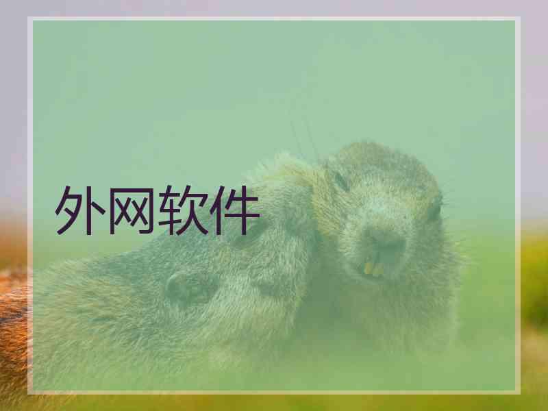 外网软件