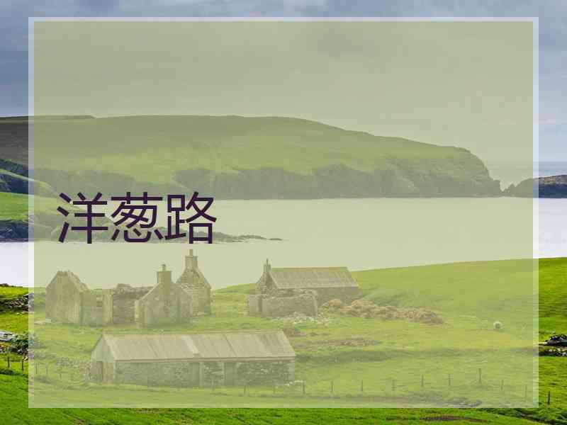 洋葱路