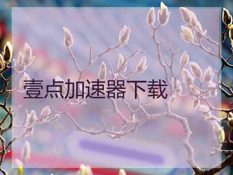 壹点加速器下载