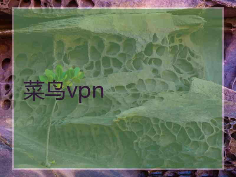 菜鸟vpn