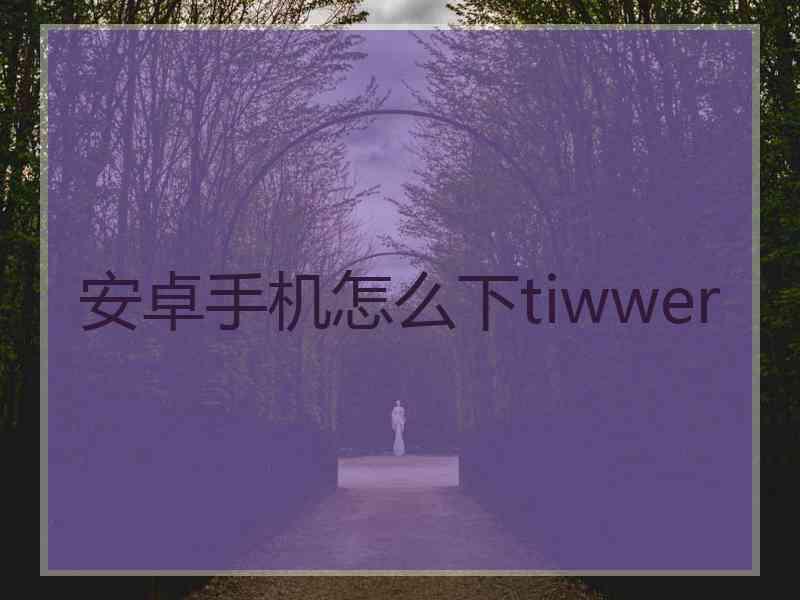 安卓手机怎么下tiwwer