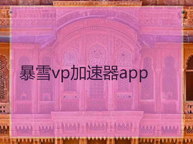 暴雪vp加速器app