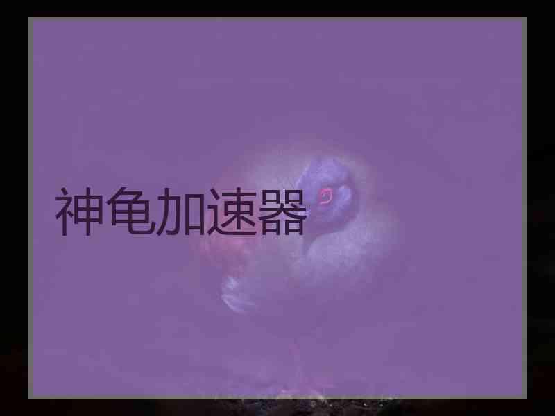 神龟加速器