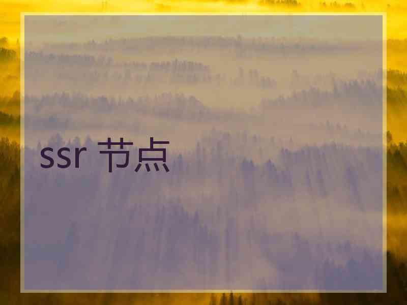 ssr 节点