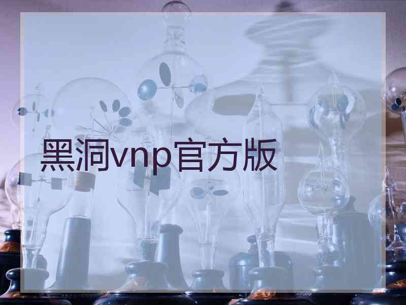黑洞vnp官方版
