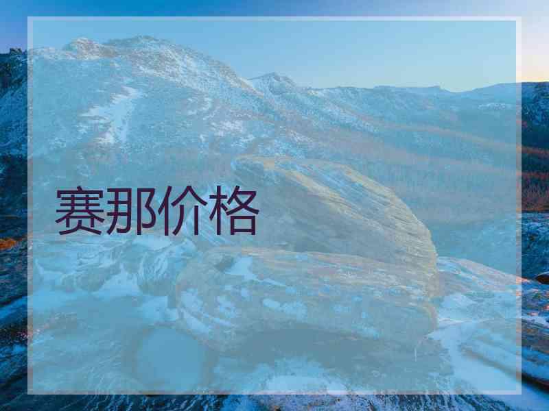 赛那价格