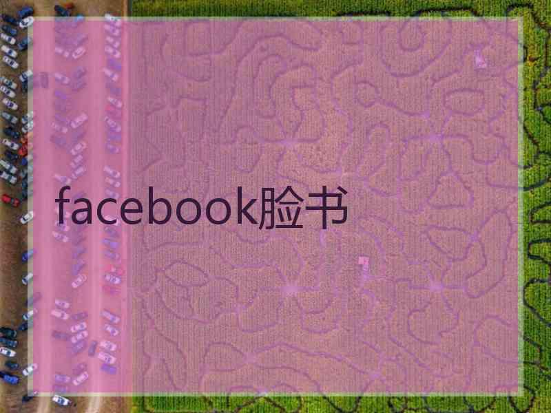 facebook脸书