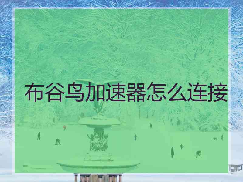 布谷鸟加速器怎么连接