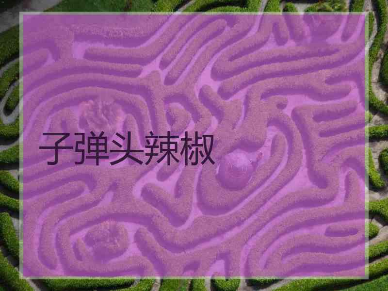 子弹头辣椒