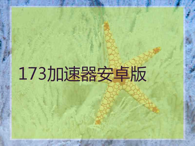173加速器安卓版