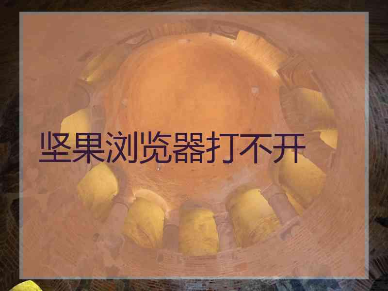 坚果浏览器打不开