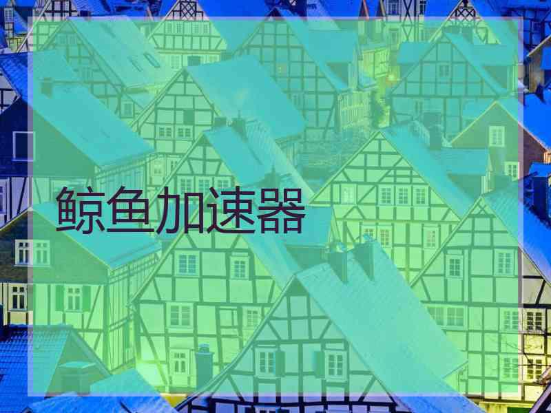 鲸鱼加速器