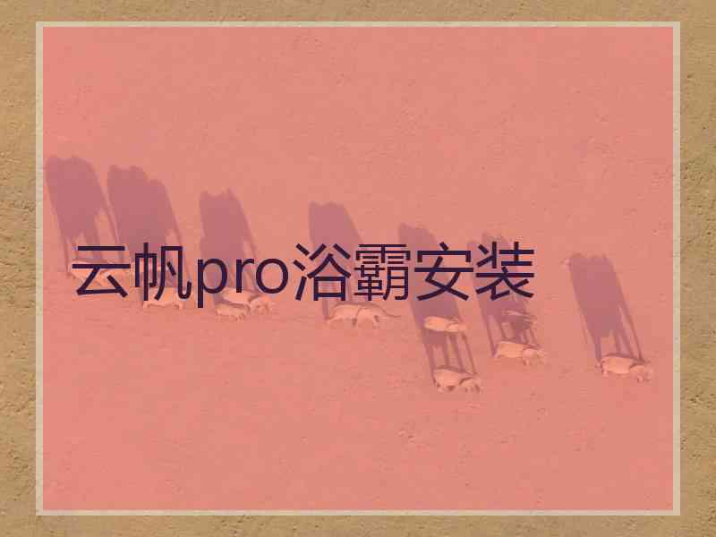 云帆pro浴霸安装