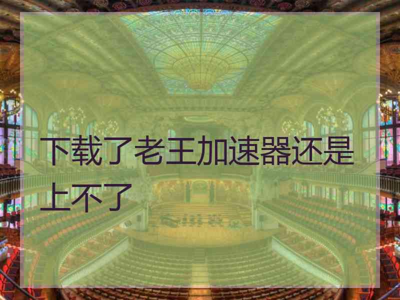 下载了老王加速器还是上不了