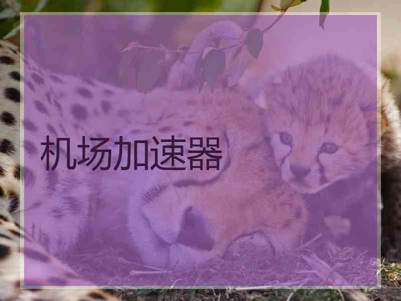 机场加速器