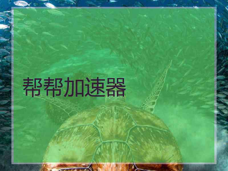 帮帮加速器