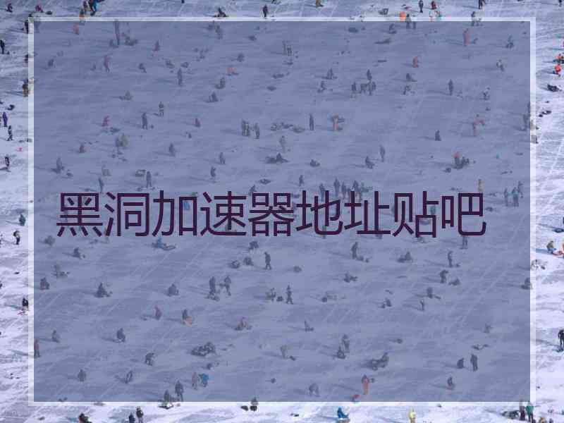 黑洞加速器地址贴吧