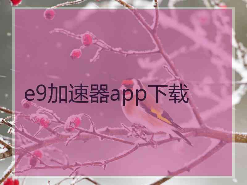 e9加速器app下载